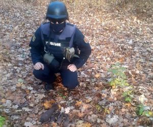 У Слов’янському районі, неподалік населеного пункту, піротехніки вилучили 4 вибухонебезпечних предмети часів Другої світової війни