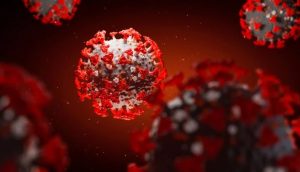 Защищают ли лук и чеснок от заражения Covid-19, – разъяснение инфекционистов
