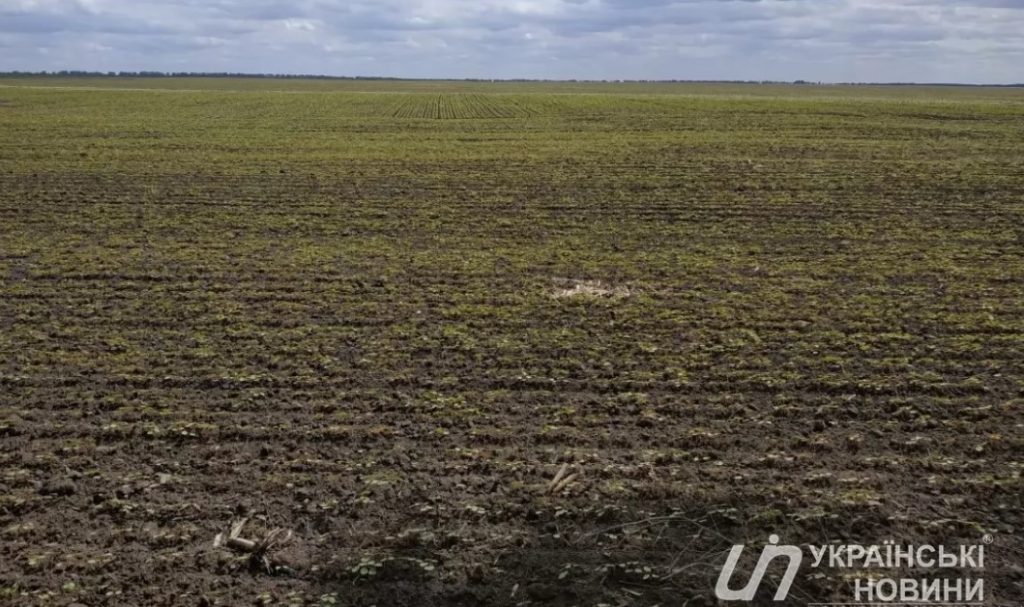 Кабмин запустил передачу государственных сельхозземель объединенным терробщинам