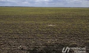 Кабмин запустил передачу государственных сельхозземель объединенным терробщинам