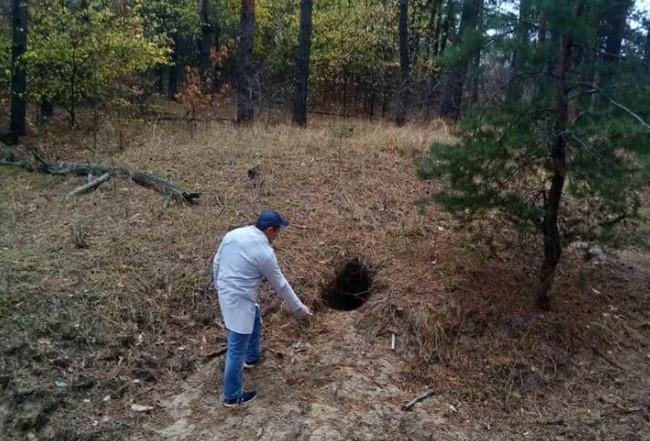Працівники НПП «Святі Гори» провели вакцинацію м`ясоїдних тварин проти сказу