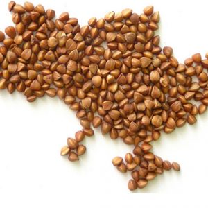 Вадим Лях призвал избирателей сообщать о попытках подкупа в полицию