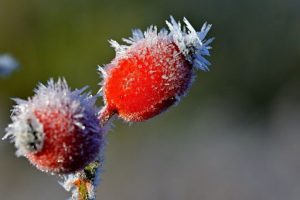 Праздник 25 ноября: все приметы, что сегодня нельзя делать