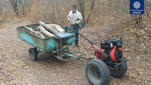 Незаконну вирубку зелених насаджень виявлено у парку, –  патрульна поліція Краматорська та Слов’янська