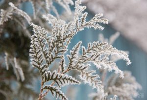 Приметы на 10 декабря: что нельзя делать в Романов день