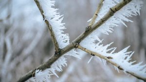 Приметы на 11 декабря: что категорически нельзя делать