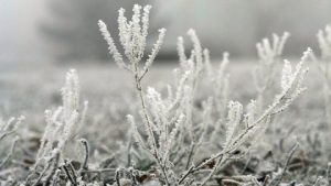 Приметы на 9 декабря: что нельзя делать в Юрьев день