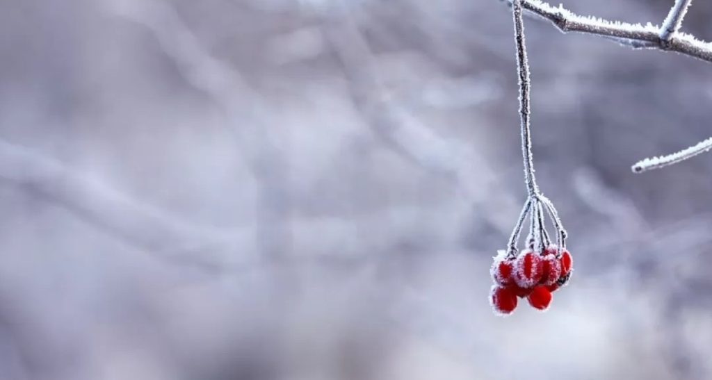 Украинцев ждут длинные выходные. Сколько будем отдыхать в декабре