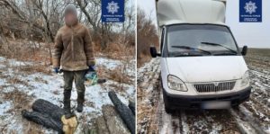 П’ятеро чоловіків, 2 бензопили, одне авто та десятки спиляної деревини: патрульні виявили, ймовірно, незаконну порубку