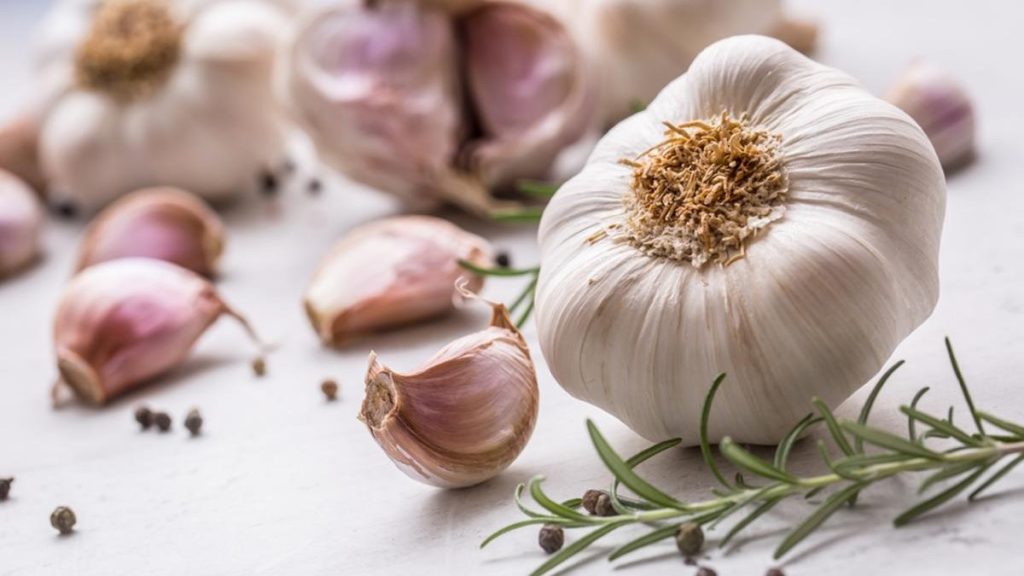 Китай планирует выращивать чеснок в Украине по своей технологии