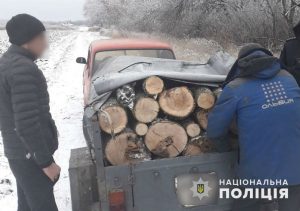 Поліцейські припинили порубку лісу поблизу Миколаївки