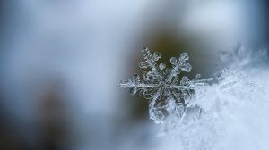 Аномальное тепло: синоптики дали подробный прогноз на январь 2021