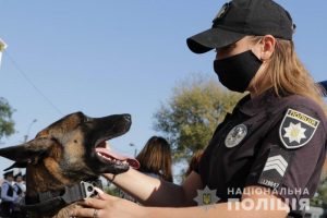 Знайшли злочинця по шапці «Діда Мороза»: як працювали службові собаки поліції Донеччини в 2020 році