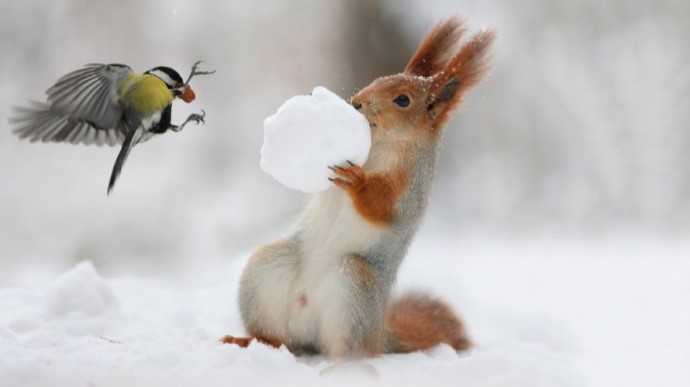 Синоптики предупредили про снегопады и похолодание. В Украину идет настоящая зима