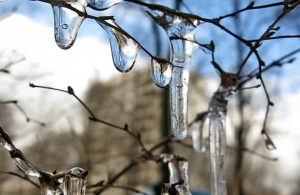 В северо-восточный регион потепление пришло в последнюю очередь