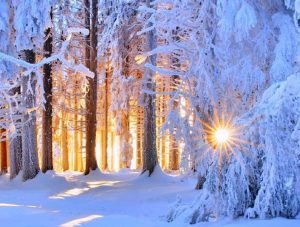 15 января – праздники, именины, приметы