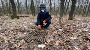 с. Маяки: піротехніки ДСНС вилучили 31 вибухонебезпечний предмет