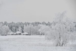 Приметы на 27 января: что нельзя делать в день Святой Нины