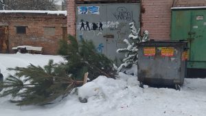 Фотофакт: В Славянске начинают образовываться елочные свалки