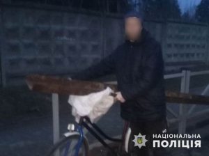 У Святогірську чоловік зламав пам’ятник на могилі та витягнув з під нього металеві елементи