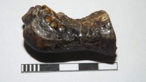 Накануне Рождества на Хортице нашли старинную люльку