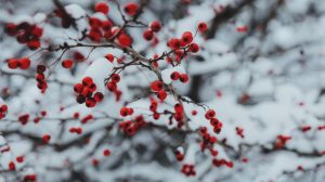 Приметы на 20 января: что нельзя делать в день Иоанна Крестителя