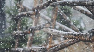 Приметы на 22 января: что нельзя делать в Филиппов день