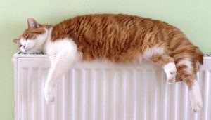 Как экономить на коммуналке за отопление: 5 работающих решений