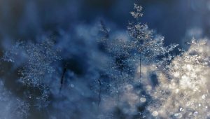 15 февраля – Сретение Господне. Традиции и запреты