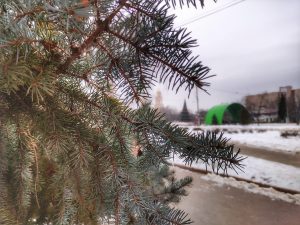 Что запланировано в Славянске с 22 по 28 февраля