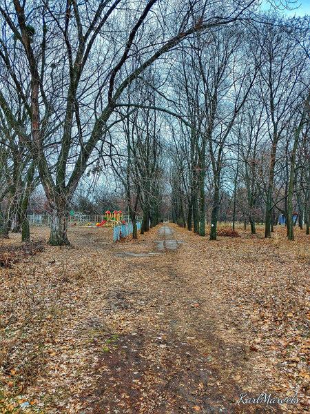 147555706 3986811264697517 1362044701366826753 o