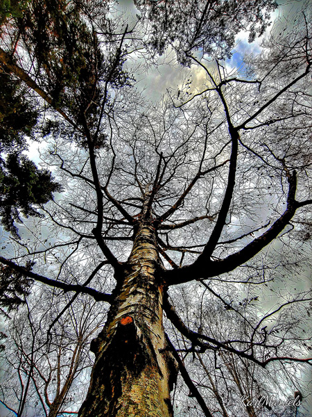 148214142 3986811394697504 6501868328298747654 o