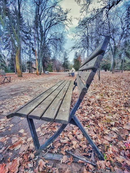 148424502 3986811278030849 2543537684170133676 o