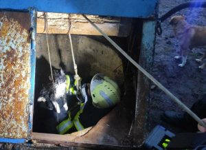 Бійці ДСНС врятували кошеня, яке впало в колодязь