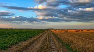 Как вернуть молодежь в села. Верховная Рада собралась простимулировать фермеров