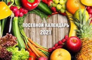 Лунный посевной календарь огородника Славянска на 2021 год