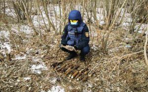 В селі Долина піротехніки ДСНС вилучили 81 вибухонебезпечний предмет часів Другої світової війни