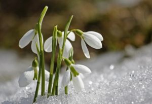 24 февраля: какой сегодня праздник, приметы и запреты