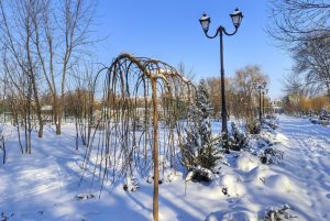 Відділ екології та природних ресурсів повідомляє! Радіаційний фон на території міста – безпечний