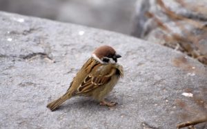 Народные приметы на 6 февраля