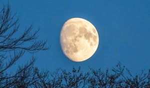 Новолуние и полнолуние в феврале: даты и что нельзя делать в эти дни