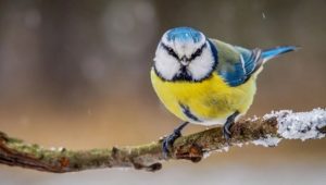 5 февраля: праздники, приметы и именинники