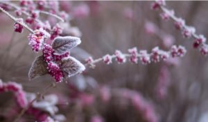 Приметы и праздники 19 февраля: что нельзя делать в этот день