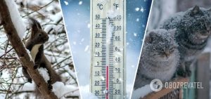 Ожидается “война” циклонов: синоптики дали прогноз погоды на февраль в Украине