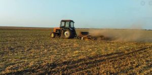 В Украине открывают рынок земли: какие документы отменят