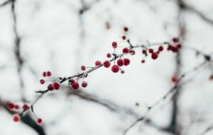 Приметы и праздники 13 февраля: что нельзя делать в этот день