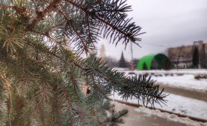 Відділ екології та природних ресурсів повідомляє! Індекс забруднення повітря у місті Слов’янськ – низький!