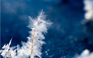 Приметы и праздники 20 февраля: что нельзя делать в этот день