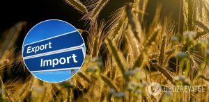 Украина получает до $50 млрд от экспорта в год: с какими странами и чем торгуем