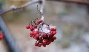 Приметы на 8 февраля: что нельзя делать